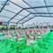 Modern Big Outdoor Wedding Tent Aluminum Shelter 300 Seater Activities