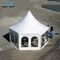 Strong Aluminum Octagonal Party Tent PVC Cover Grass Anchors Lining