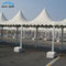Commercial 10 x 10 Pagoda Canopy Tent For Garden White And Black Color
